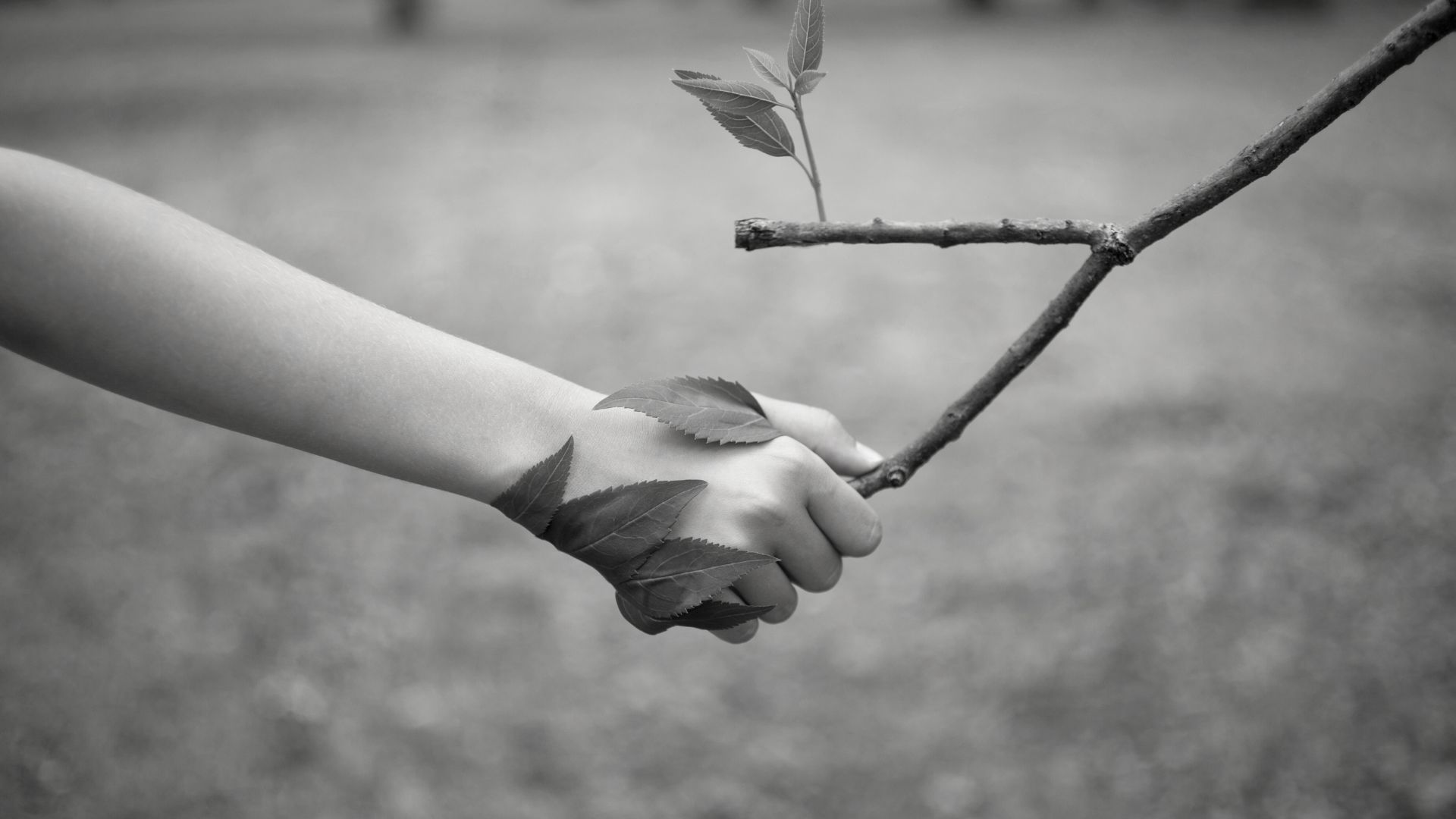 Un'immagine in bianco e nero di una mano di un bambino che tiene un ramo con alcune foglie attaccate, simboleggiando la connessione con la natura o forse un gioco infantile all'aperto.